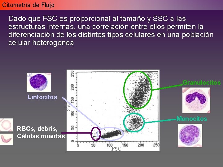 Citometría de Flujo Dado que FSC es proporcional al tamaño y SSC a las Citometría de Flujo Dado que FSC es proporcional al tamaño y SSC a las