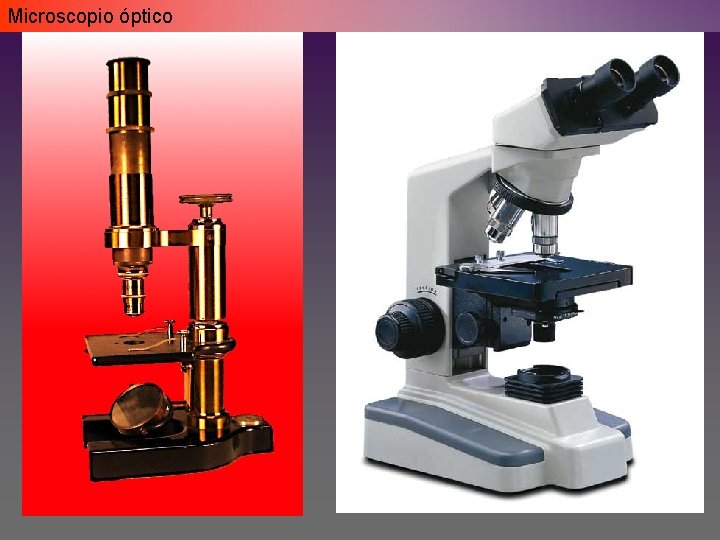 Microscopio óptico Microscopio óptico