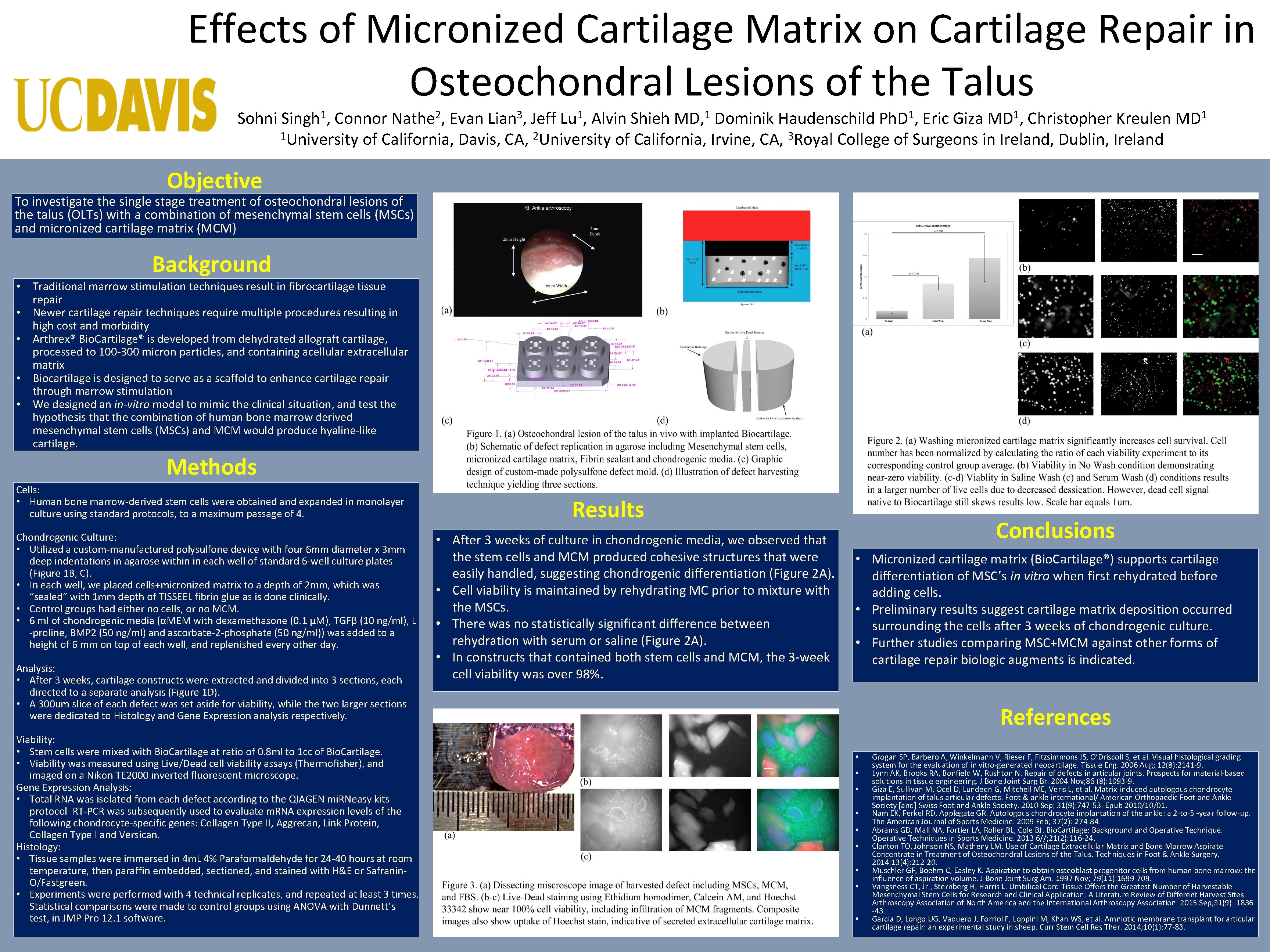 Effects of Micronized Cartilage Matrix on Cartilage Repair in Osteochondral Lesions of the Talus