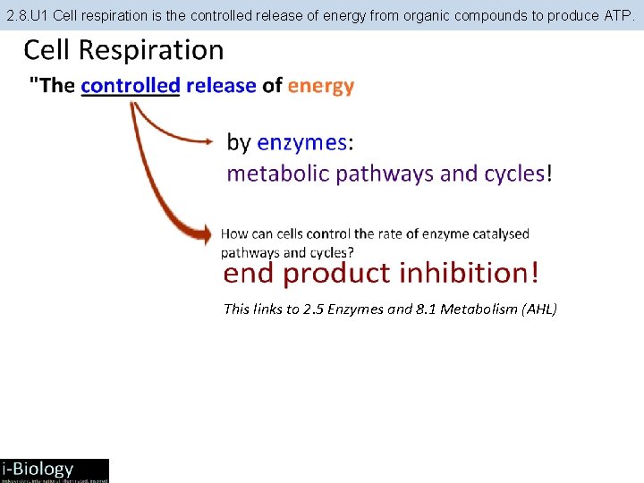 2. 8. U 1 Cell respiration is the controlled release of energy from organic