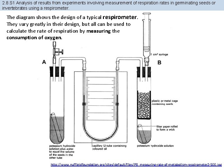 2. 8. S 1 Analysis of results from experiments involving measurement of respiration rates