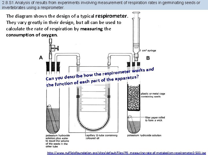 2. 8. S 1 Analysis of results from experiments involving measurement of respiration rates