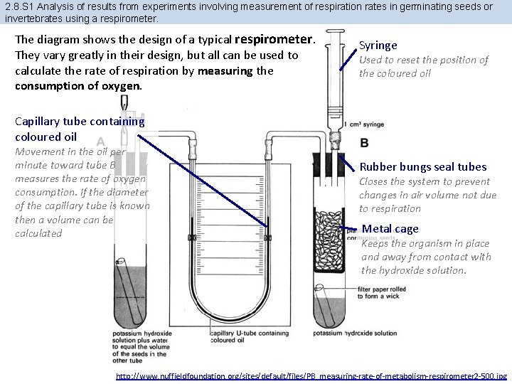 2. 8. S 1 Analysis of results from experiments involving measurement of respiration rates