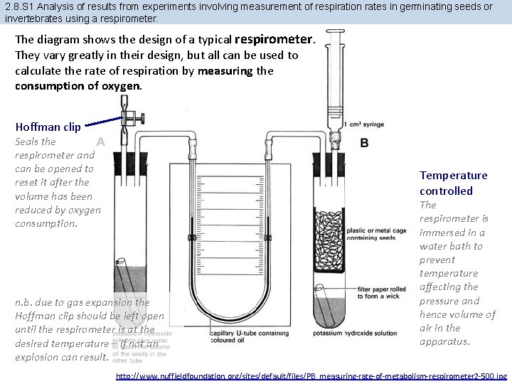 2. 8. S 1 Analysis of results from experiments involving measurement of respiration rates
