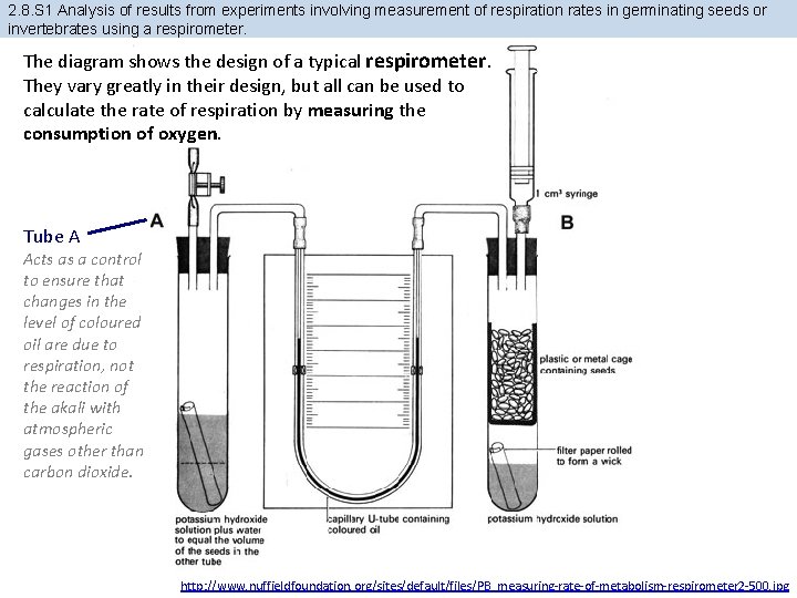 2. 8. S 1 Analysis of results from experiments involving measurement of respiration rates