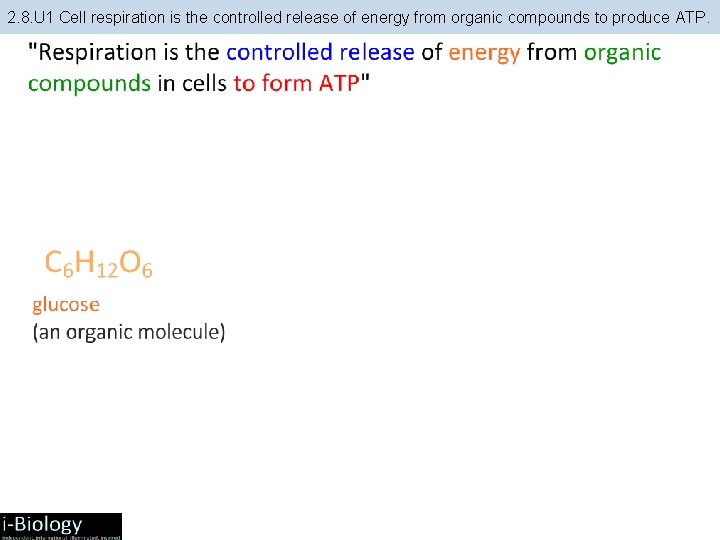 2. 8. U 1 Cell respiration is the controlled release of energy from organic