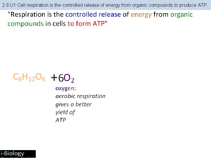 2. 8. U 1 Cell respiration is the controlled release of energy from organic