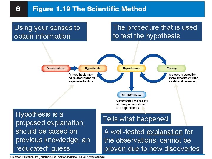 Using your senses to obtain information Hypothesis is a proposed explanation; should be based