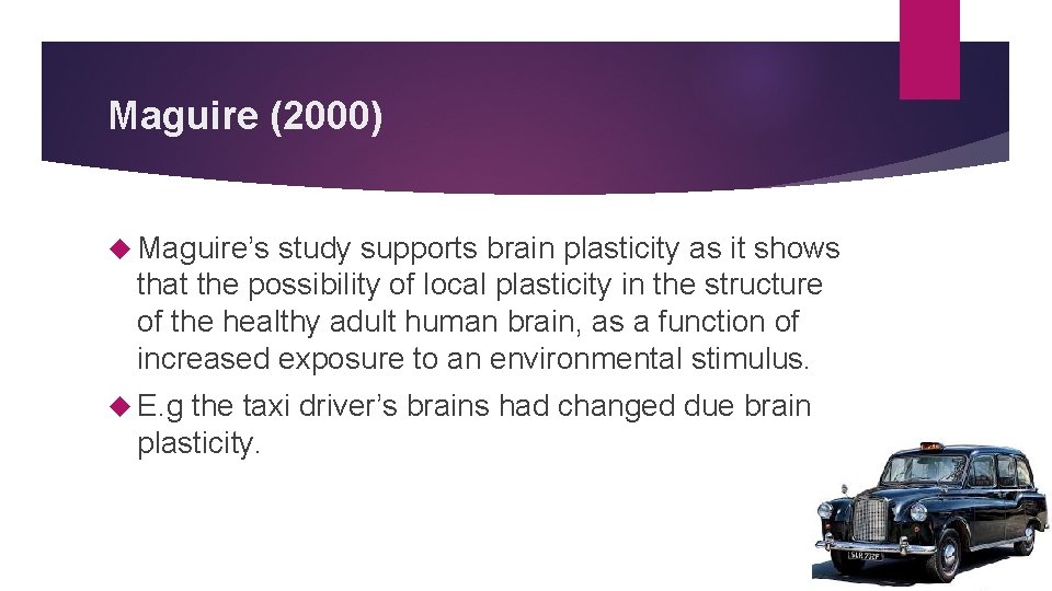 Maguire (2000) Maguire’s study supports brain plasticity as it shows that the possibility of