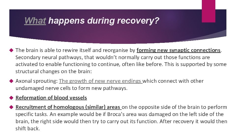 What happens during recovery? The brain is able to rewire itself and reorganise by