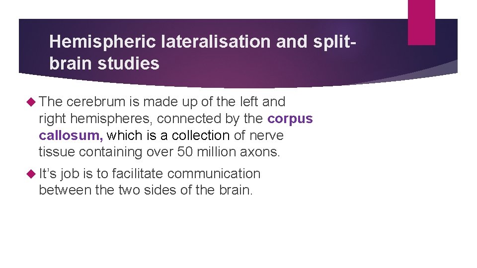 Hemispheric lateralisation and splitbrain studies The cerebrum is made up of the left and