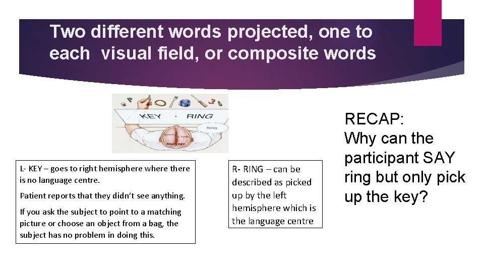 Two different words projected, one to each visual field, or composite words L- KEY