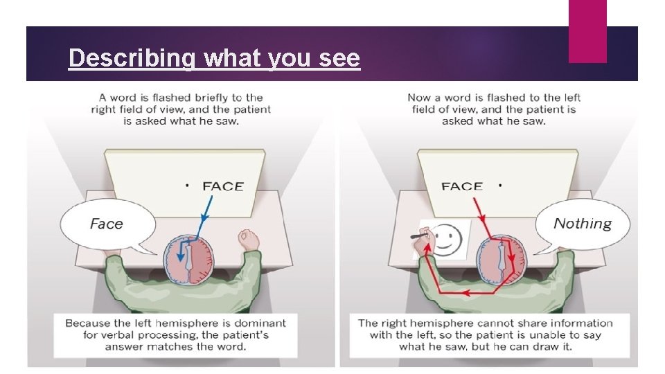 Describing what you see 