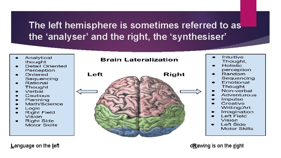 The left hemisphere is sometimes referred to as the ‘analyser’ and the right, the