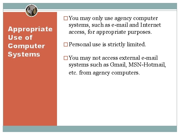 � You may only use agency computer Appropriate Use of Computer Systems systems, such