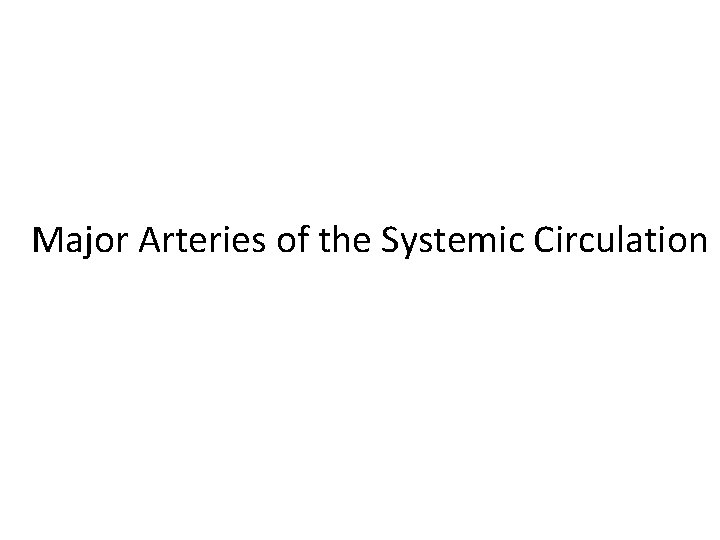 Major Arteries of the Systemic Circulation 