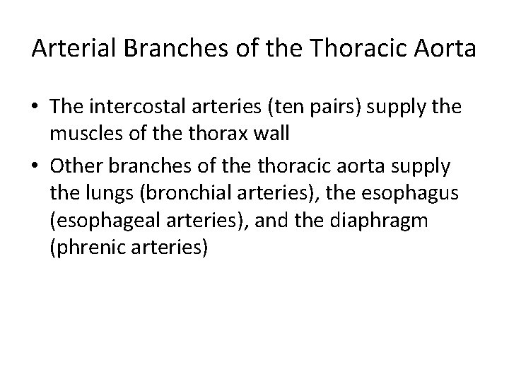 Arterial Branches of the Thoracic Aorta • The intercostal arteries (ten pairs) supply the