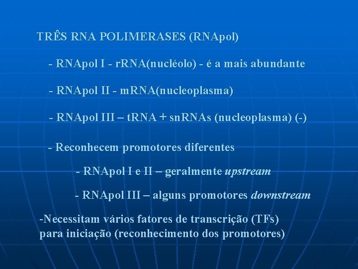 TRÊS RNA POLIMERASES (RNApol) - RNApol I - r. RNA(nucléolo) - é a mais