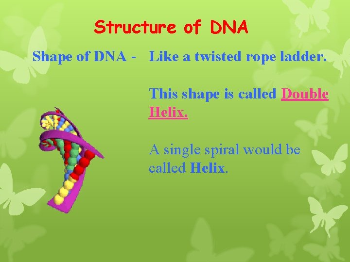 Structure of DNA Shape of DNA - Like a twisted rope ladder. This shape