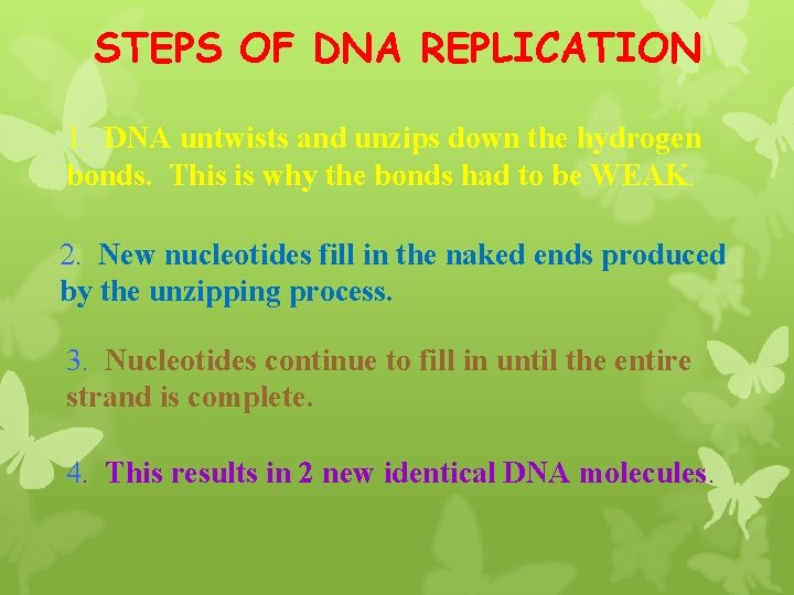 STEPS OF DNA REPLICATION 1. DNA untwists and unzips down the hydrogen bonds. This