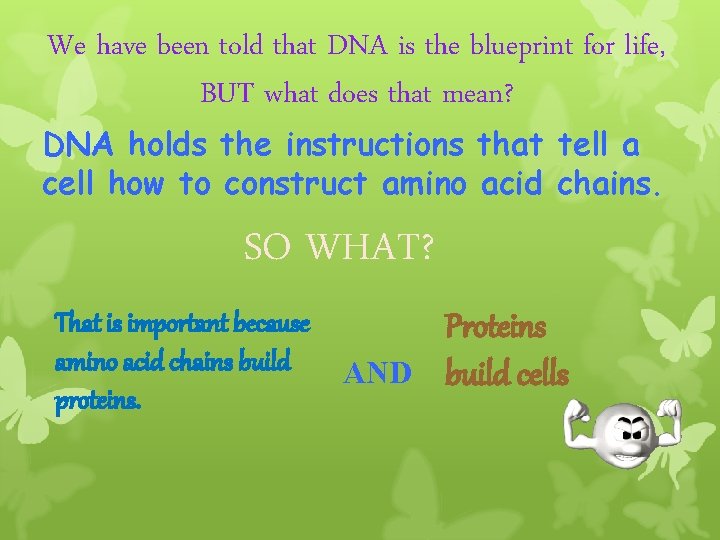 We have been told that DNA is the blueprint for life, BUT what does