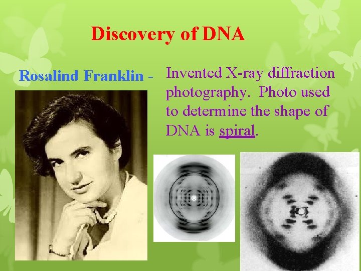 Discovery of DNA Rosalind Franklin - Invented X-ray diffraction photography. Photo used to determine