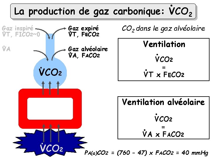 . La production de gaz carbonique: VCO 2 Gaz inspiré VT, FICO 2~0 Gaz