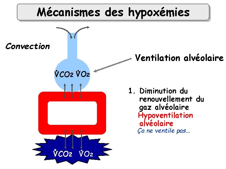 Mécanismes des hypoxémies Convection Ventilation alvéolaire VCO 2 VO 2 alvéole 1. Diminution du