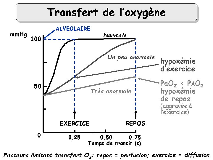 Transfert de l’oxygène mm. Hg ALVEOLAIRE 100 Normale Un peu anormale 50 Très anormale