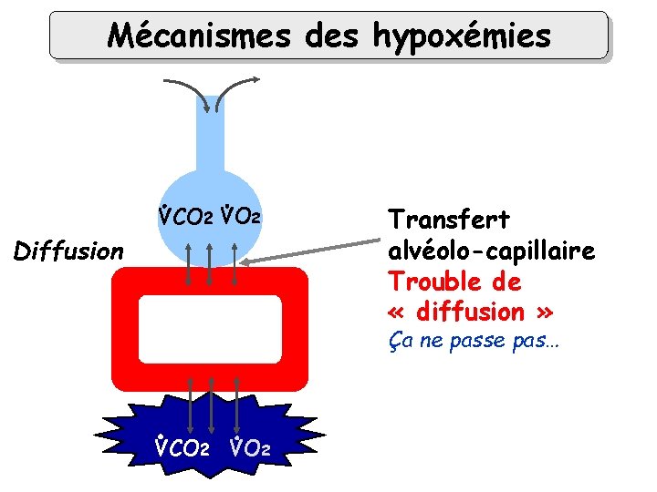 Mécanismes des hypoxémies VCO 2 VO 2 alvéole Diffusion Transfert alvéolo-capillaire Trouble de «