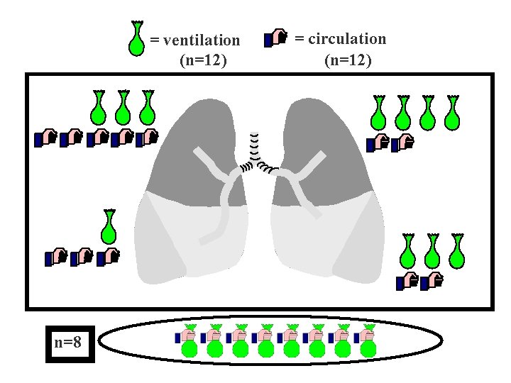 = ventilation (n=12) n=8 = circulation (n=12) 