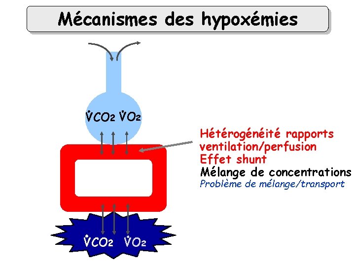 Mécanismes des hypoxémies VCO 2 VO 2 alvéole Hétérogénéité rapports ventilation/perfusion Effet shunt Mélange