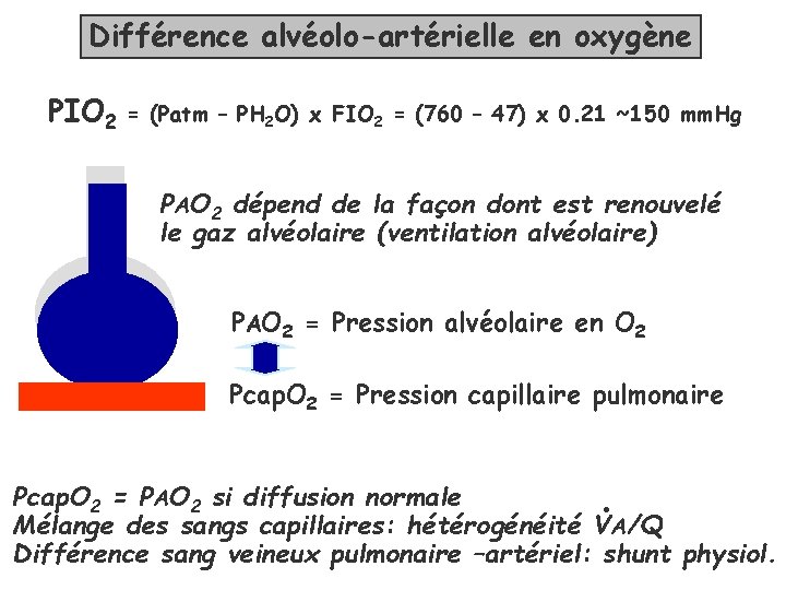 Différence alvéolo-artérielle en oxygène PIO 2 = (Patm – PH 2 O) x FIO