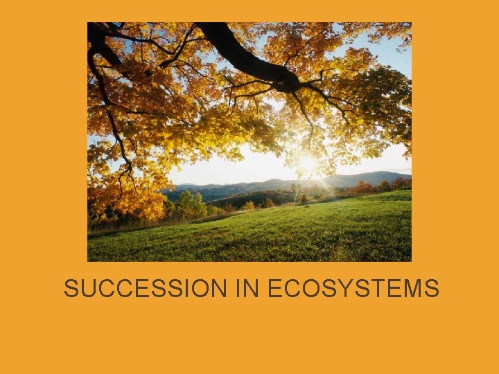 SUCCESSION IN ECOSYSTEMS 