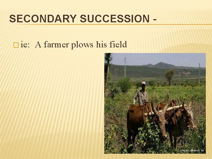 SECONDARY SUCCESSION � ie: A farmer plows his field 