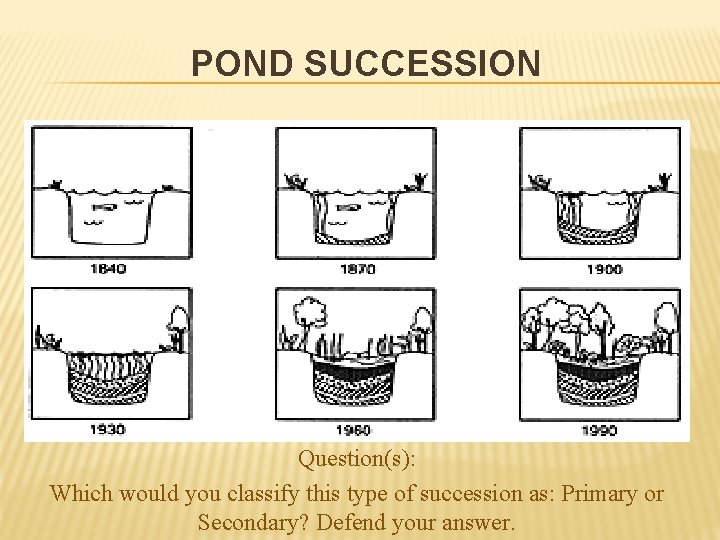 POND SUCCESSION Question(s): Which would you classify this type of succession as: Primary or