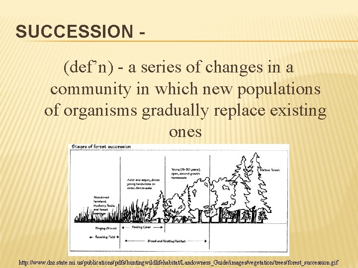 SUCCESSION (def’n) - a series of changes in a community in which new populations