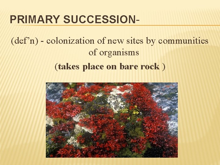 PRIMARY SUCCESSION(def’n) - colonization of new sites by communities of organisms (takes place on