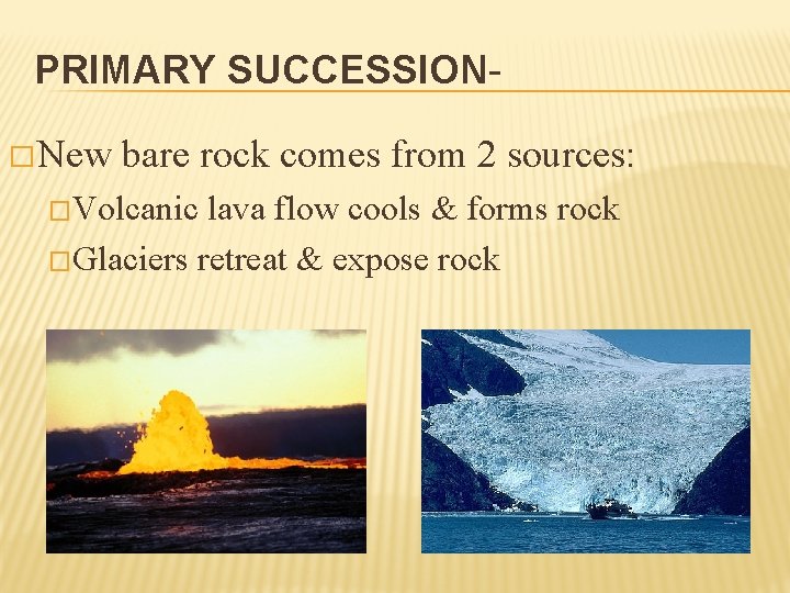 PRIMARY SUCCESSION� New bare rock comes from 2 sources: �Volcanic lava flow cools &