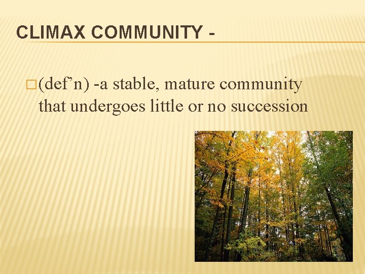 CLIMAX COMMUNITY � (def’n) -a stable, mature community that undergoes little or no succession