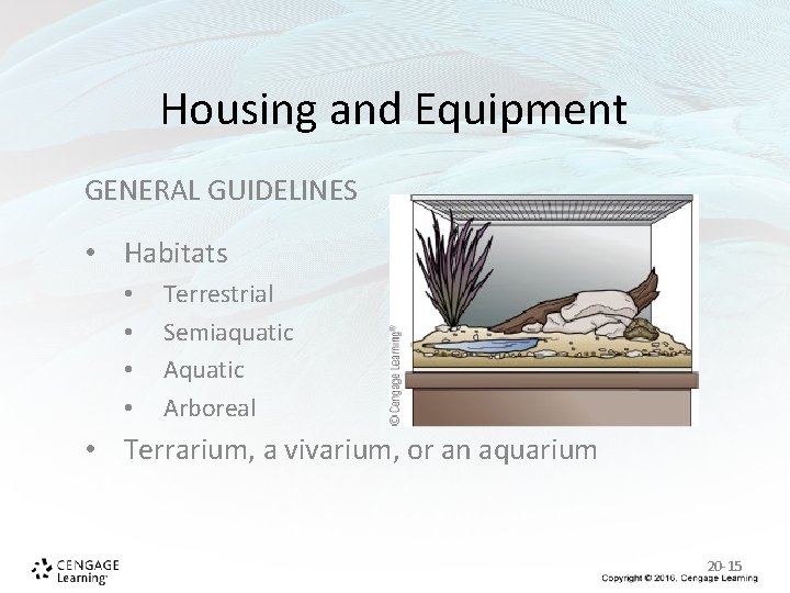 Housing and Equipment GENERAL GUIDELINES • Habitats • • Terrestrial Semiaquatic Arboreal • Terrarium, Housing and Equipment GENERAL GUIDELINES • Habitats • • Terrestrial Semiaquatic Arboreal • Terrarium,