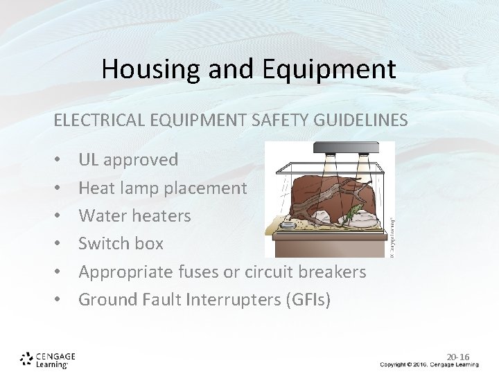 Housing and Equipment ELECTRICAL EQUIPMENT SAFETY GUIDELINES • • • UL approved Heat lamp Housing and Equipment ELECTRICAL EQUIPMENT SAFETY GUIDELINES • • • UL approved Heat lamp