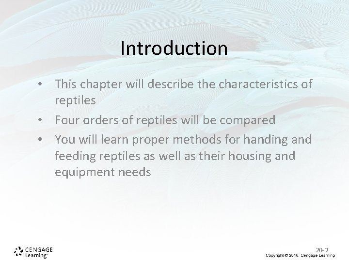 Introduction • This chapter will describe the characteristics of reptiles • Four orders of Introduction • This chapter will describe the characteristics of reptiles • Four orders of