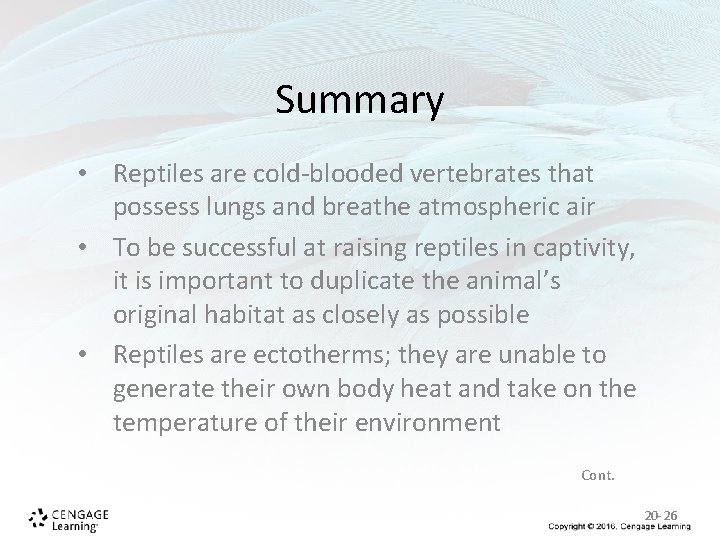 Summary • Reptiles are cold-blooded vertebrates that possess lungs and breathe atmospheric air • Summary • Reptiles are cold-blooded vertebrates that possess lungs and breathe atmospheric air •