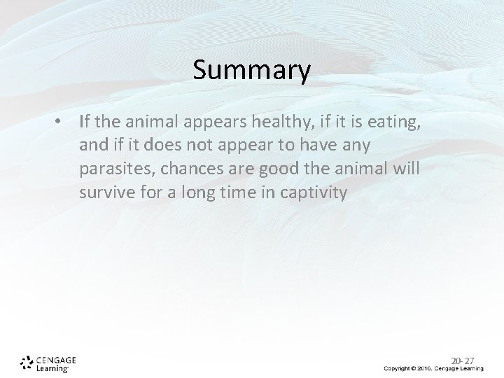 Summary • If the animal appears healthy, if it is eating, and if it Summary • If the animal appears healthy, if it is eating, and if it