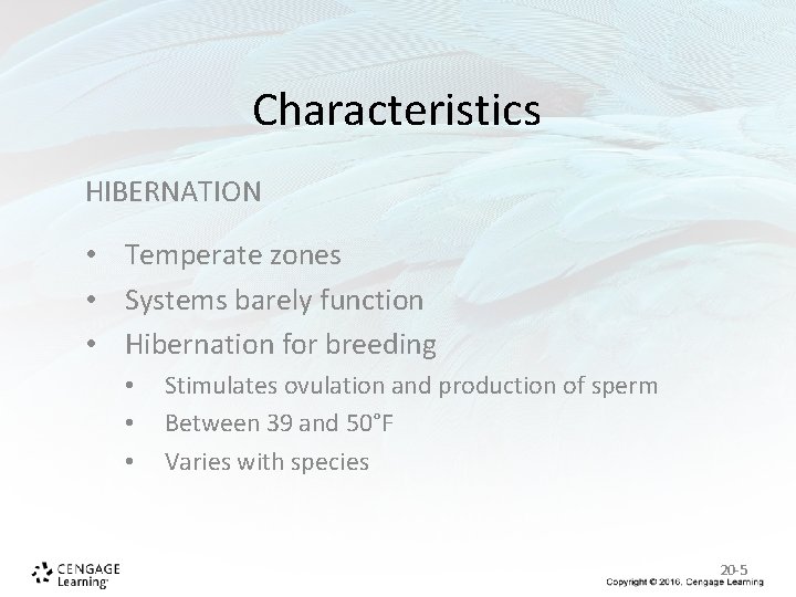 Characteristics HIBERNATION • Temperate zones • Systems barely function • Hibernation for breeding • Characteristics HIBERNATION • Temperate zones • Systems barely function • Hibernation for breeding •