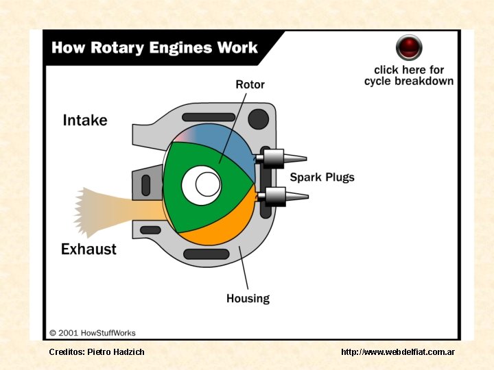 Creditos: Pietro Hadzich http: //www. webdelfiat. com. ar 