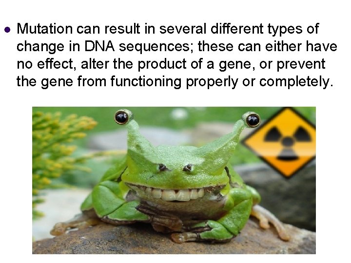 l Mutation can result in several different types of change in DNA sequences; these