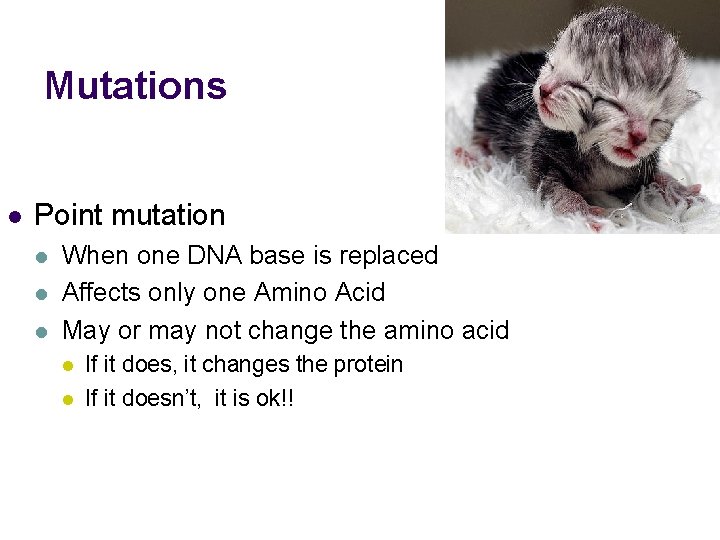 Mutations l Point mutation l l l When one DNA base is replaced Affects
