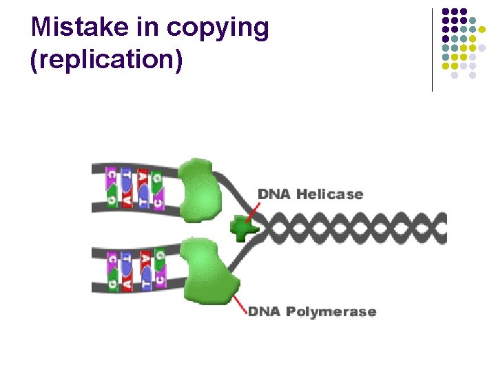 Mistake in copying (replication) 